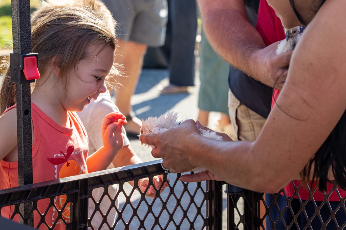 A smiling child meeting a chicken held by an adult at the ranch’s event booth